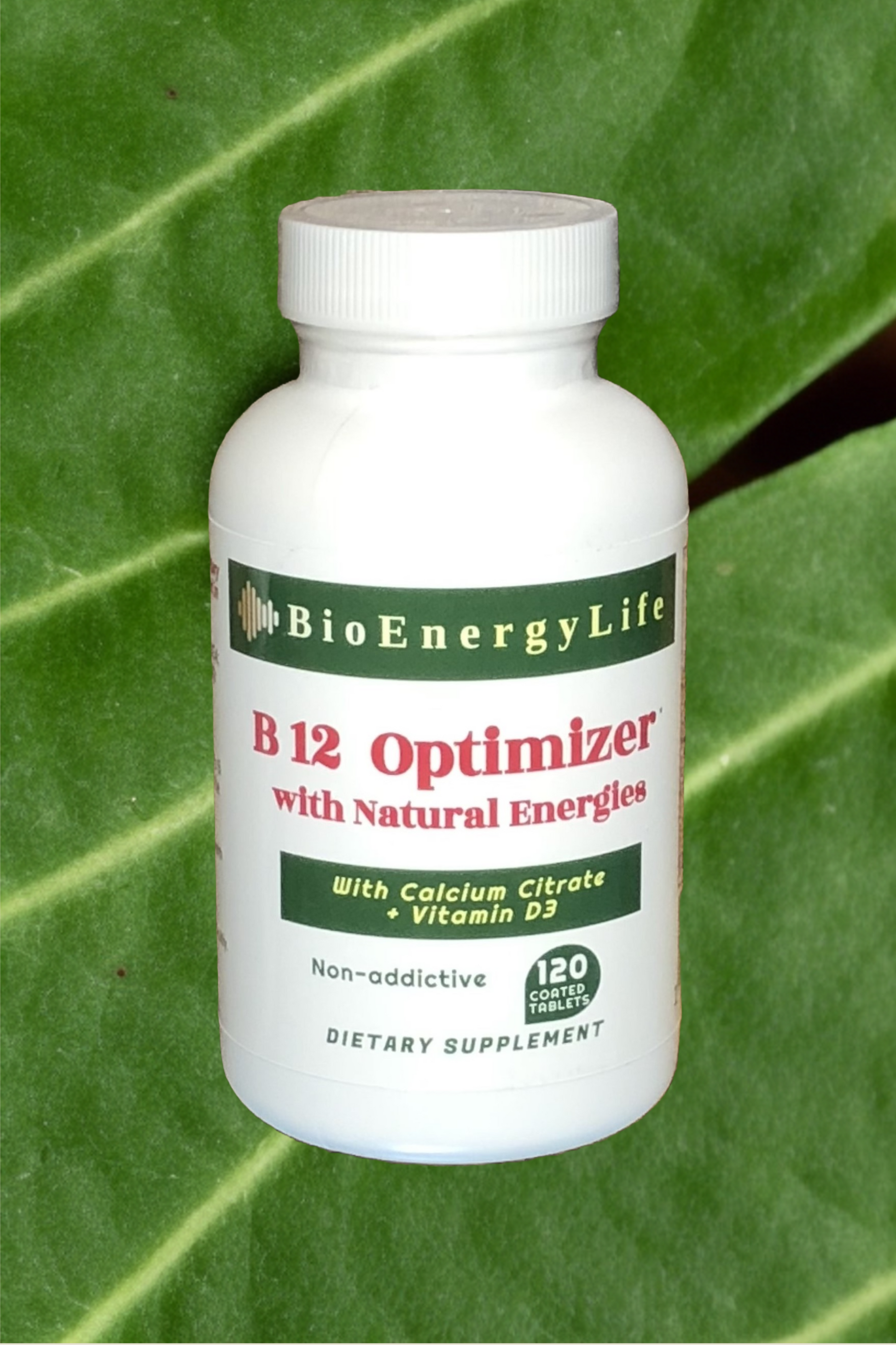 best vitamin b12 supplement