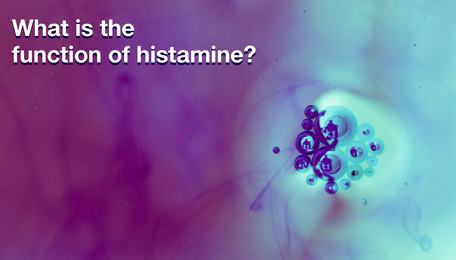 function of histamine