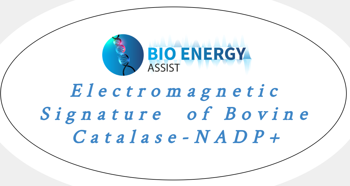Electromagnetic Signature of Bovine Catalase-NADP+ bioenergy
