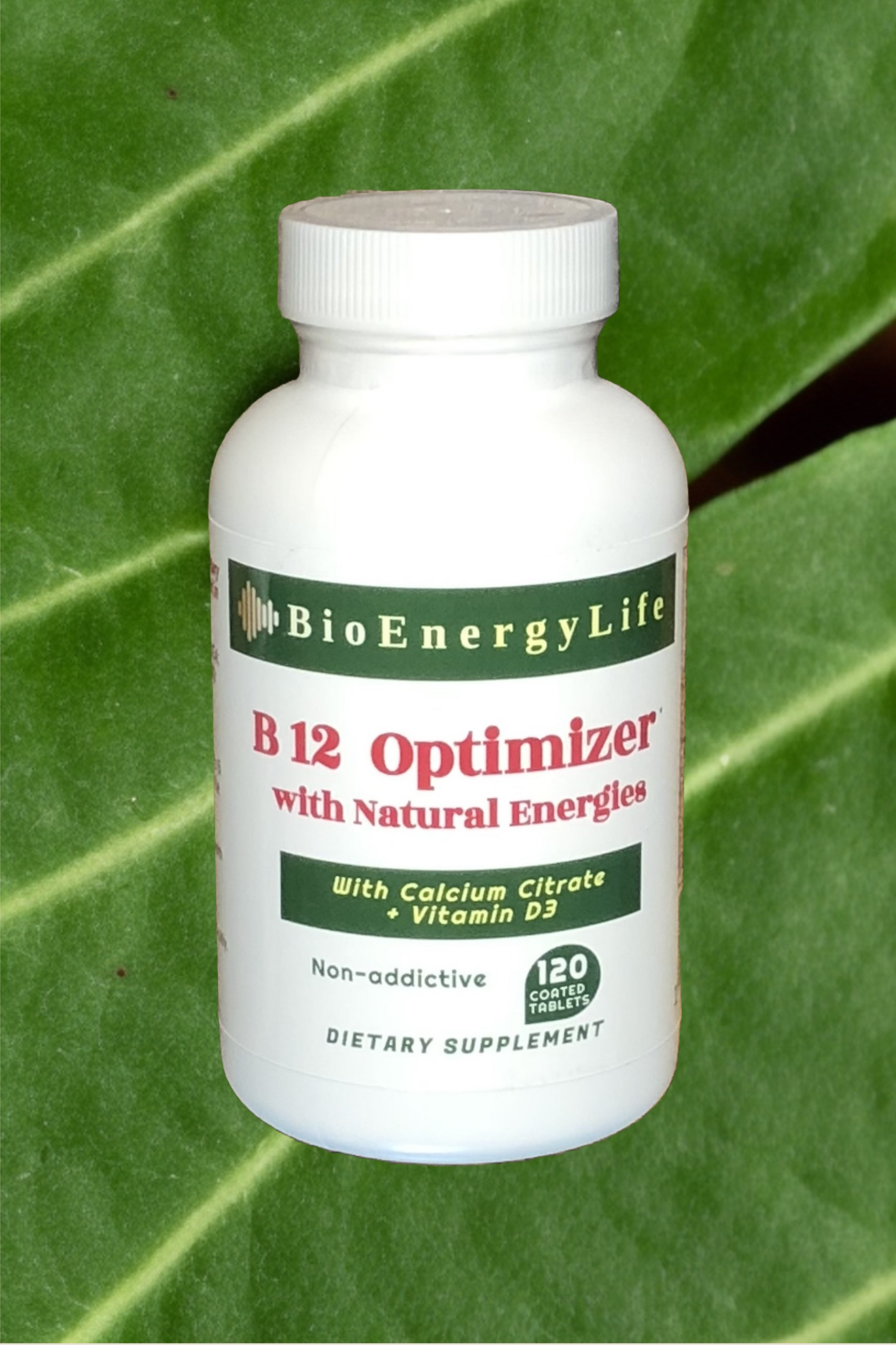best vitamin b12 supplement 